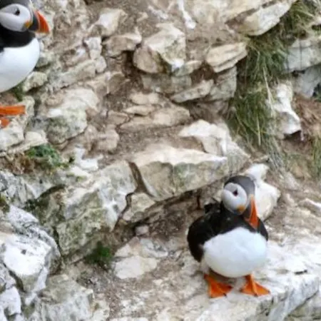 펜션 The Views On Site. Haven Sands Filey *